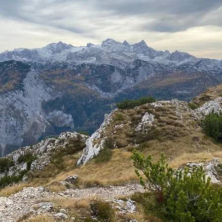 アパート Almsternderl - Gemuetliche In ゴーザウ