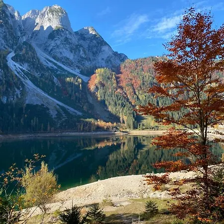 Almsternderl - Gemuetliche In Gosau