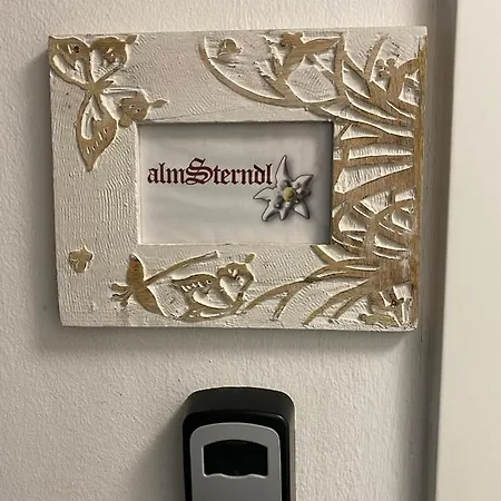 Almsternderl - Gemuetliche In 아파트
