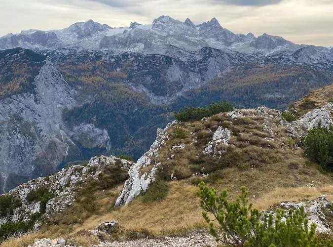 Daire Almsternderl - Gemuetliche In Gosau