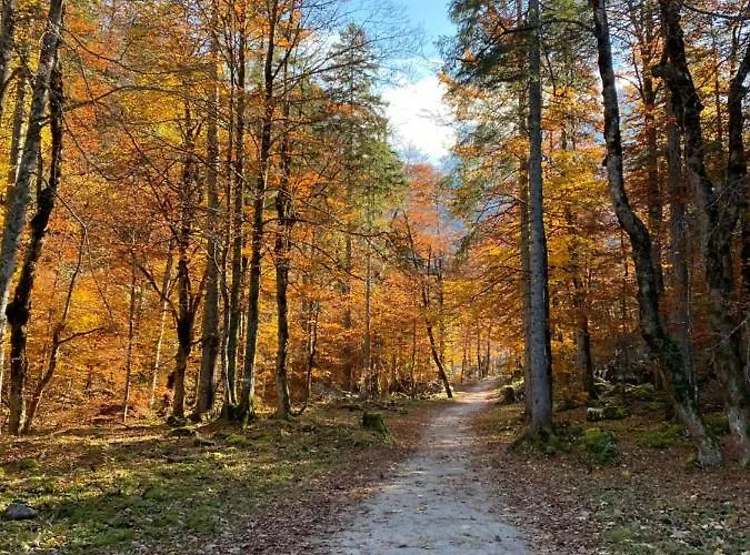 Apartmán Almsternderl - Gemuetliche In *